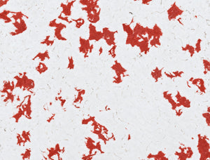 Plaso White Dapple Red