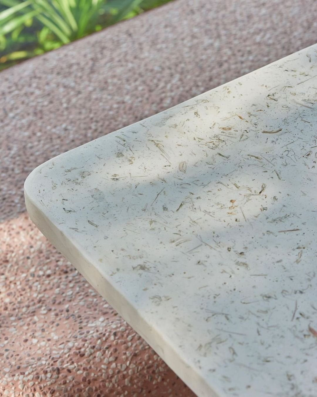 Birds of Paradise Botanical Tables