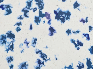 Plaso White Dapple Blue