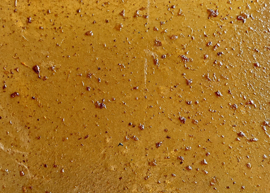 SCOBY Biotextile